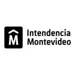 Mesa de trabajo 16