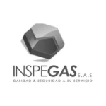 INSPEGAS